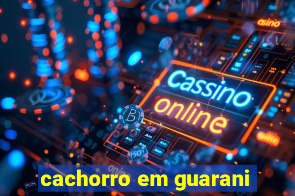 cachorro em guarani